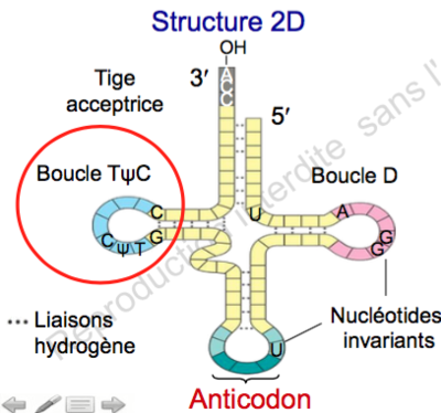 Capture d’écran 2015-12-17 à 20.24.58.png