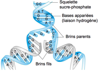 Capture d’écran 2015-12-21 à 11.28.34.png