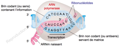 Capture d’écran 2015-12-21 à 11.36.51.png