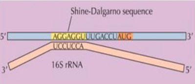 Capture d’écran 2015-12-21 à 11.43.42.png