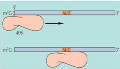 Capture d’écran 2015-12-21 à 11.44.26.png