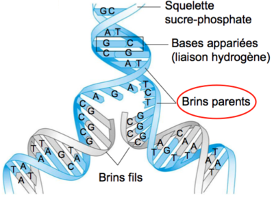 Capture d’écran 2015-12-21 à 11.28.34.png