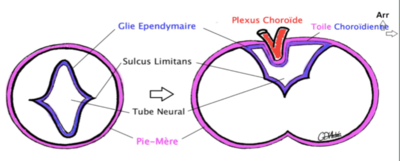 Capture d’écran 2016-01-10 à 02.44.02.png