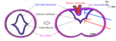Capture d’écran 2016-01-12 à 09.22.55.png