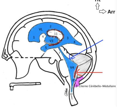 Capture d’écran 2016-01-12 à 09.23.19.png