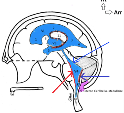 Capture d’écran 2016-01-12 à 09.23.19.png