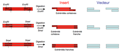 Capture d’écran 2016-01-16 à 17.41.21.png