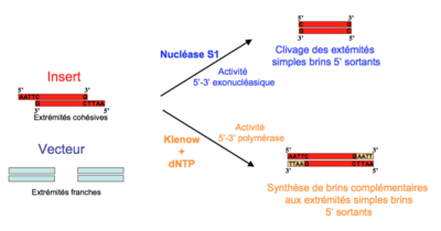 Capture d’écran 2016-01-16 à 17.49.43.png