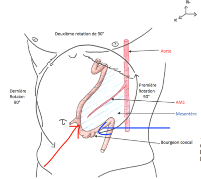 Capture d’écran 2016-01-16 à 22.01.26.png