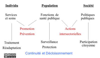 Approche populationelle.png