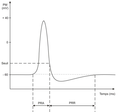 Capture d’écran 2016-01-21 à 17.10.34.png