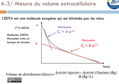 Vd extracellulaire.png