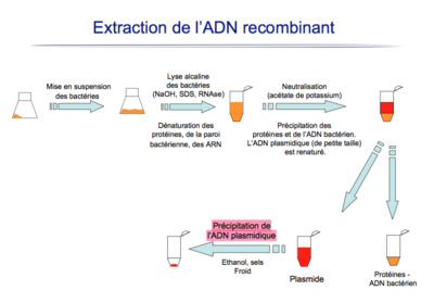 Capture d’écran 2016-01-29 à 18.18.42.png