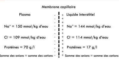 Capture d’écran 2016-01-31 à 15.44.05.png