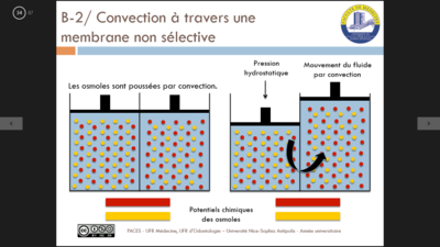 Capture d’écran (45).png