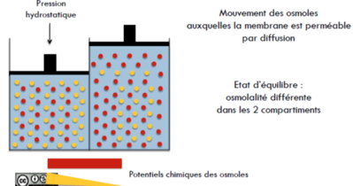 Capture d’écran 2016-02-01 à 18.47.17.png