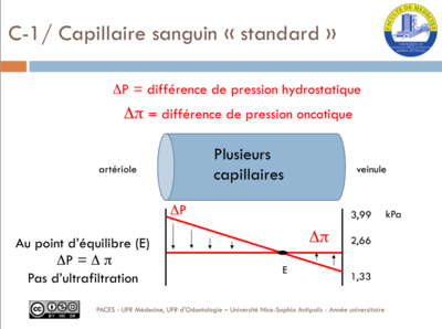 Capture d’écran (3).png