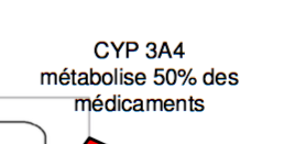 Capture d’écran 2016-02-04 à 15.10.14.png