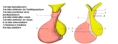 Capture d’écran 2016-02-04 à 18.42.28.png