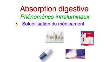 Capture d’écran 2016-02-06 à 10.10.26.png