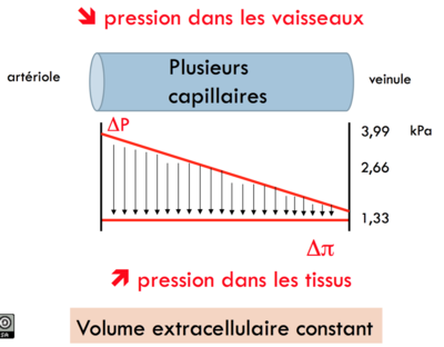 Capture d’écran 2016-02-08 à 19.35.48.png