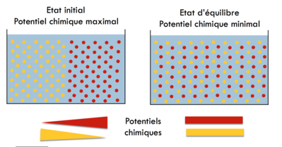 Potentiel chimique équilibre.png