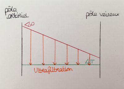 Pression hydrostatique augmentée.jpg