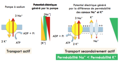 Capture d’écran 2016-02-10 à 19.50.48.png
