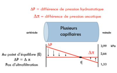 Capture d’écran 2016-02-11 à 15.52.35.png