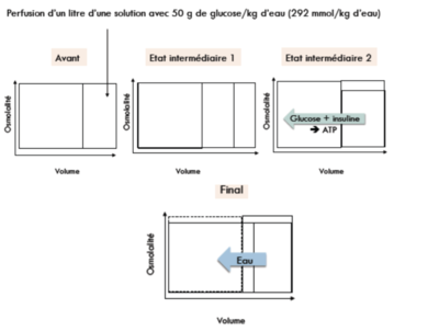 Capture d’écran 2016-02-11 à 18.43.17.png