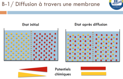 Capture d’écran 2016-02-11 à 21.25.36.png
