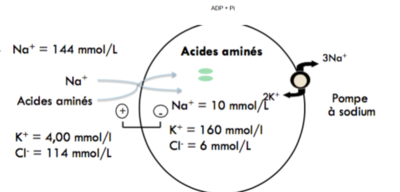 Capture d’écran 2016-02-12 à 17.58.53.png