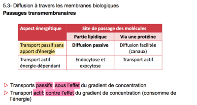 Capture d’écran 2016-02-13 à 08.54.50.png