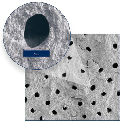 Zeus academy resize.png