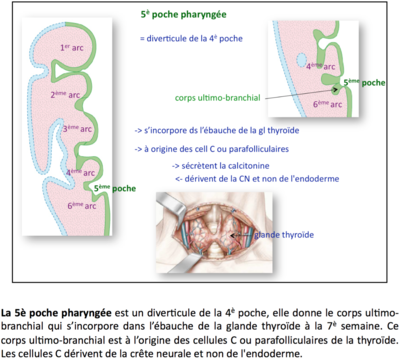 Capture d’écran 2016-02-14 à 16.33.31.png