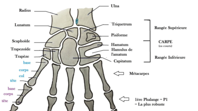 Capture d’écran (7).png
