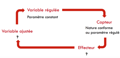 Capture d’écran 2016-02-16 à 17.02.00.png