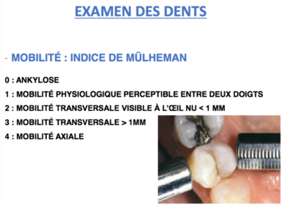 Capture d’écran 2016-02-19 à 14.14.30.png