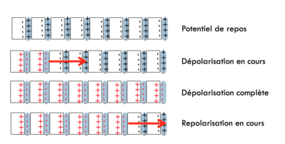Capture d’écran 2016-02-19 à 15.21.45.png