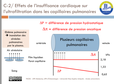 Capture d’écran (9).png