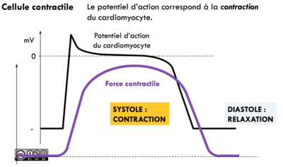 Capture d’écran 2016-02-19 à 18.30.30.png