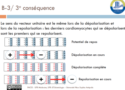 Capture d’écran 2016-02-20 à 12.49.15.png