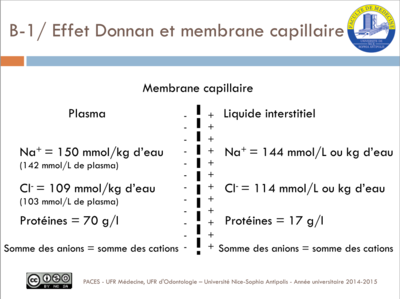 Capture d’écran (10).png
