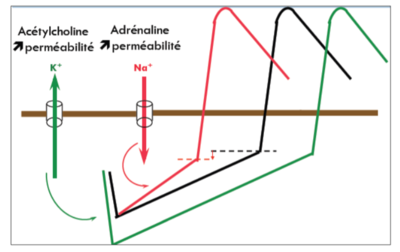 Capture d’écran 2016-02-21 à 20.40.12.png