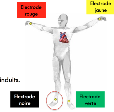 Capture d’écran 2016-02-21 à 21.46.16.png