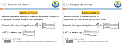 Capture d’écran 2016-02-23 à 09.30.11.png