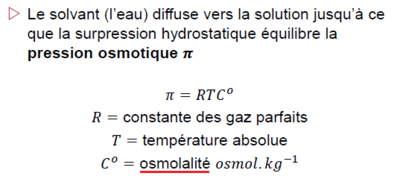 Osmolalité.png