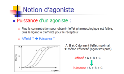 Pharmacodynamie.png