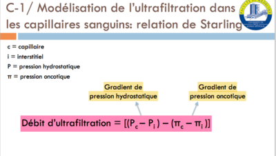 Capture d’écran 2016-02-25 à 18.39.22.png