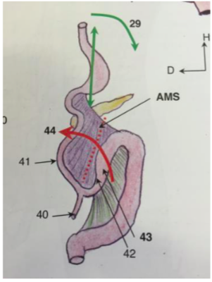 Capture d’écran 2016-02-25 à 21.20.36.png